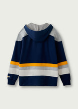 Load image into Gallery viewer, CCM Jersey Hoodie