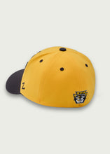 Load image into Gallery viewer, Gold ZH Hat