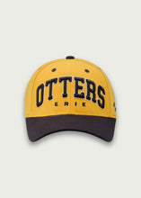 Load image into Gallery viewer, Gold ZH Hat