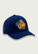 Load image into Gallery viewer, Official ZH Hat