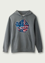 Load image into Gallery viewer, Patriotic Hoodie
