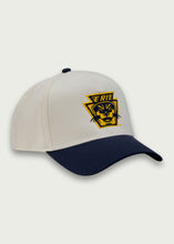 Load image into Gallery viewer, Player Hat