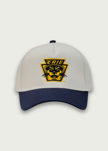 Load image into Gallery viewer, Player Hat