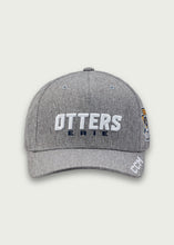 Load image into Gallery viewer, Screened Hat