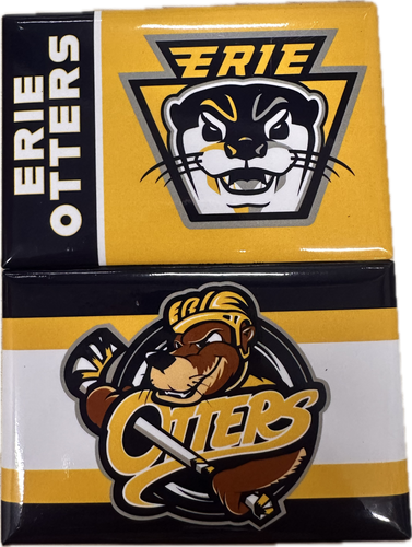 2-Pack Magnets
