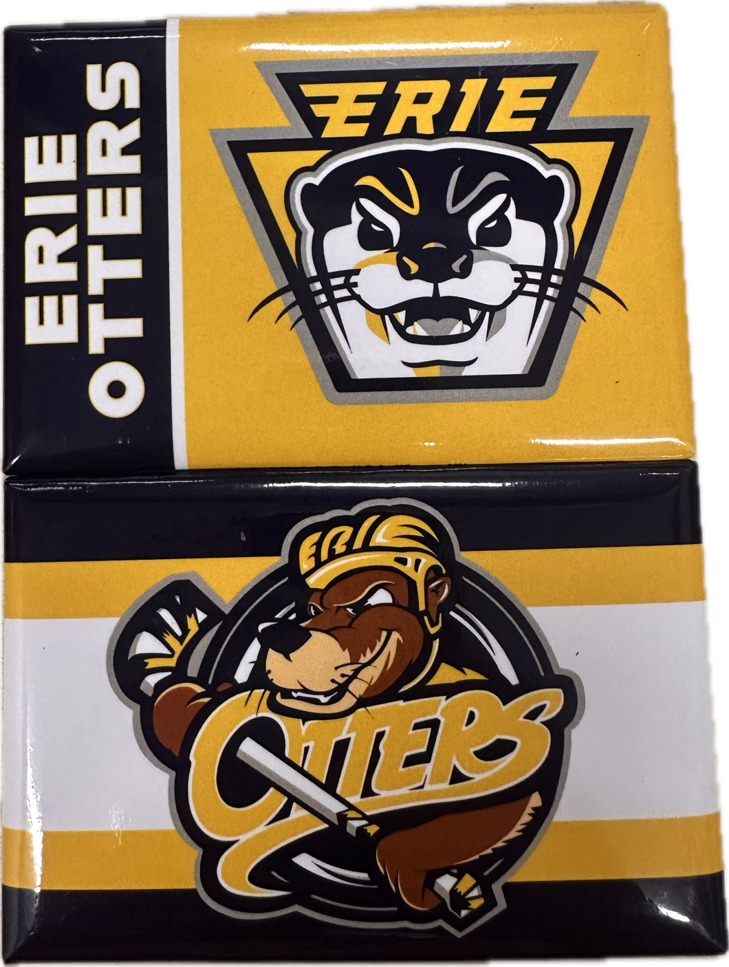 2-Pack Magnets