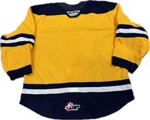 Load image into Gallery viewer, 23-24 Authentic Gold Game Jersey