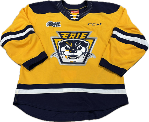 23-24 Authentic Gold Game Jersey