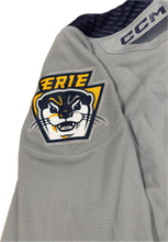 Load image into Gallery viewer, 23-24 Authentic Silver Game Jersey