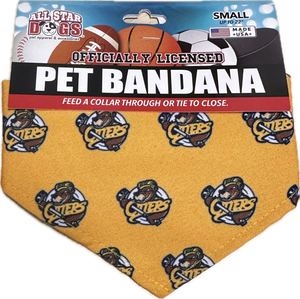 Pet Bandana