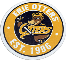 Load image into Gallery viewer, Round Coaster Set