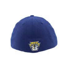 Load image into Gallery viewer, Official ZH Hat