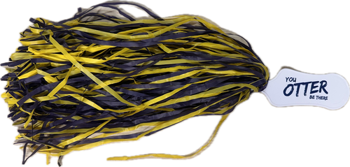 Pair of Pom Poms