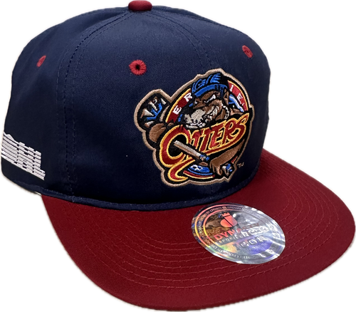 Retro Dynasty Hat