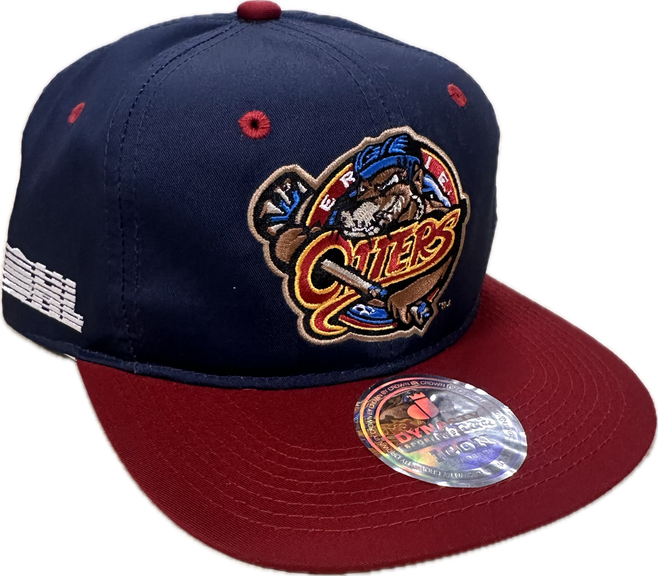 Retro Dynasty Hat