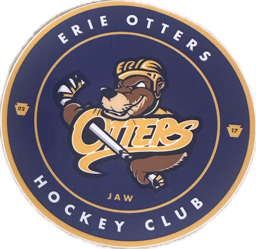 Rink Logo Decal