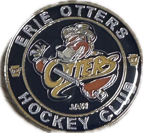 Rink Logo Lapel Pin