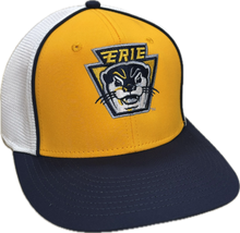 Load image into Gallery viewer, Yellow Panel Flex Hat