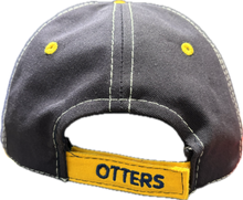 Load image into Gallery viewer, Youth Panel Hat