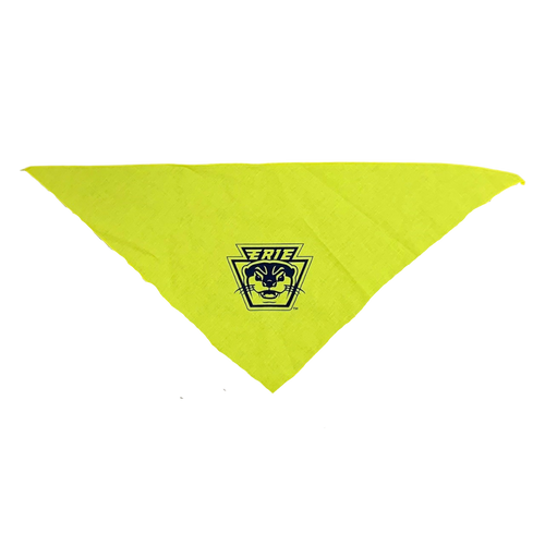 Pet Bandana